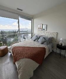 Professional Cleaning Services in Calgary - Photo 10