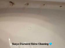 Suzys Diamond Shine Cleaning - Photo 7