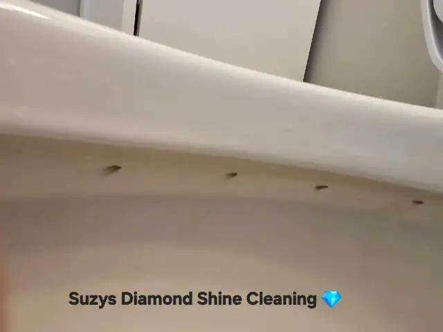 Suzys Diamond Shine Cleaning - Photo 8