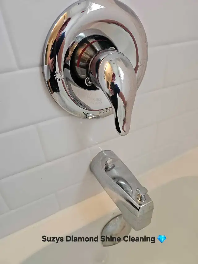 Suzys Diamond Shine Cleaning - Photo 10