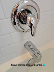 Suzys Diamond Shine Cleaning - Photo 10