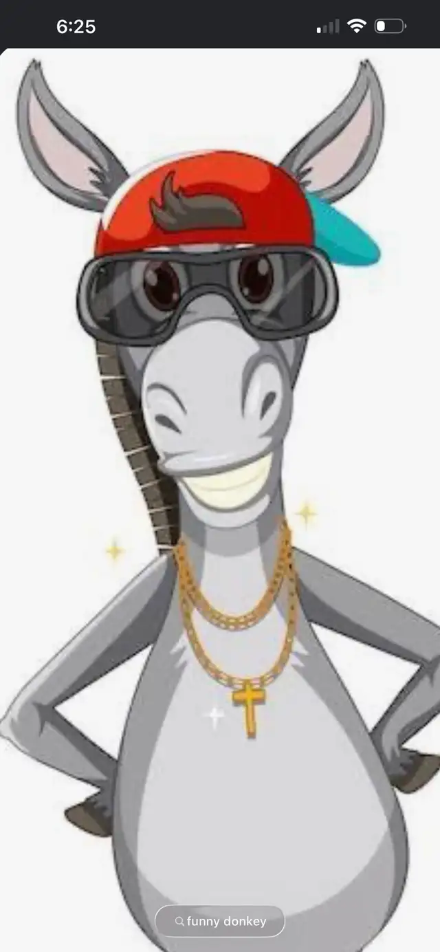 iso a donkey or mini mule