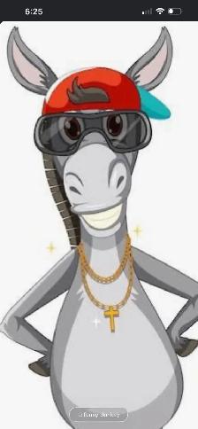 iso a donkey or mini mule