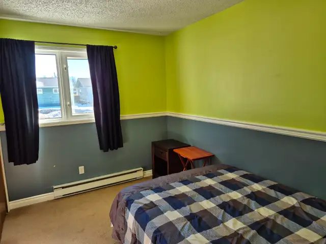 5 bed rooms House for sale In Snow Lake, MB - Photo 5