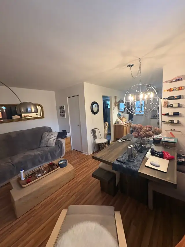 logement 31/2 Mirabel saint-janvier - Photo 7