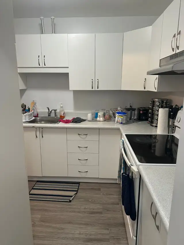 4-1/2 rénové à Louer : $1725/m disponible 1er Juillet : Longueui - Photo 7