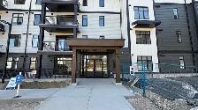 NEW 2 BEDROOM APARTMENT TOP FLOOR FOR RENT! PETS WELCOME!! - Photo 3
