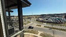 NEW 2 BEDROOM APARTMENT TOP FLOOR FOR RENT! PETS WELCOME!! - Photo 20