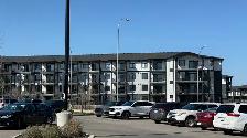NEW 2 BEDROOM APARTMENT TOP FLOOR FOR RENT! PETS WELCOME!! - Photo 29