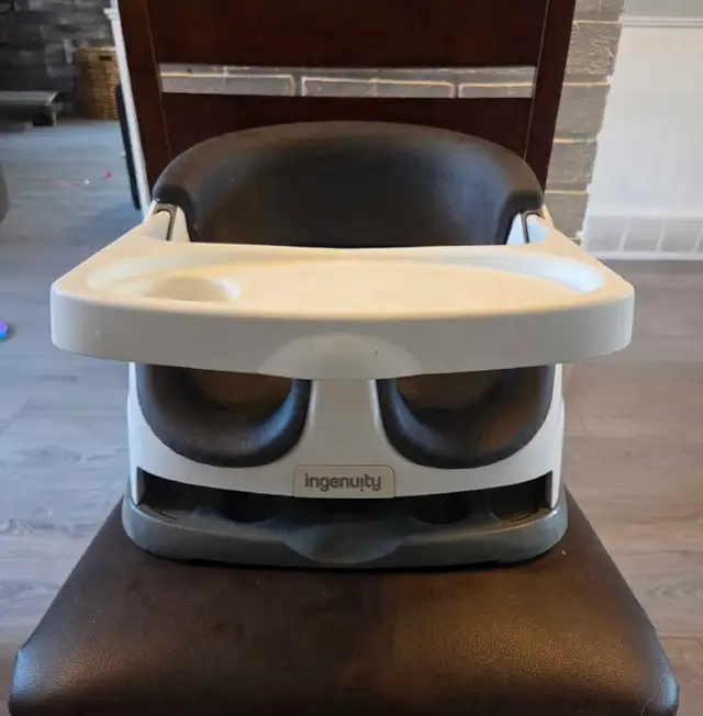 Ingenuity Booster seat
