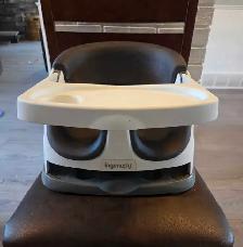 Ingenuity Booster seat