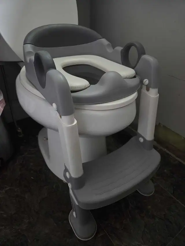Toddler toliet seat with steps
