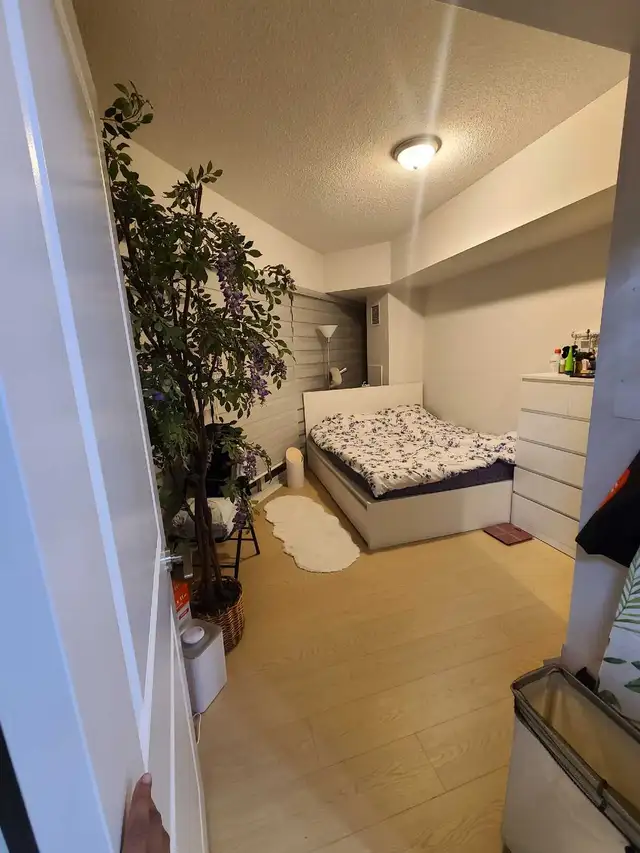 room for rent absolute avenue - Photo 2