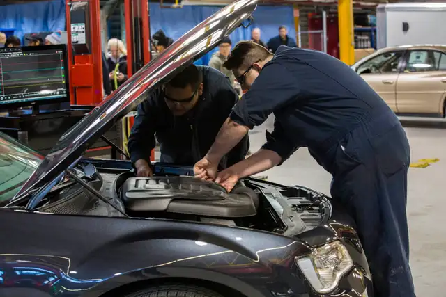Licensed 310S Automotive Technician