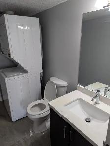 2 Bedroom   Den condo near Warden & Steeles for rent - Photo 9