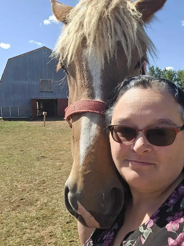 Pair 4 year old beligum horses - Photo 2