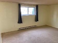 Spacious, Vacant and Clean 2 Bedroom Apartment For Rent