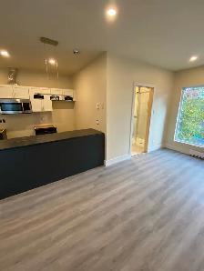 Studios: 995$/mois et 1049$/mois - A Greenfield Park - Rive Sud - Photo 8