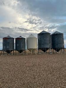 Grain Bins