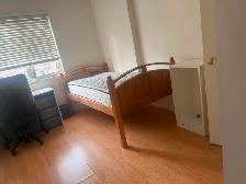 Room for rent at York University Village now