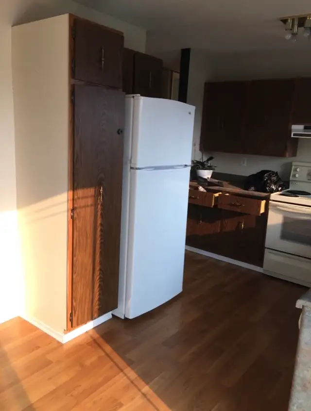 House for Rent (Pet Friendly) 3 BR, 2 Bath WAVERLY HEIGHTS - Photo 3