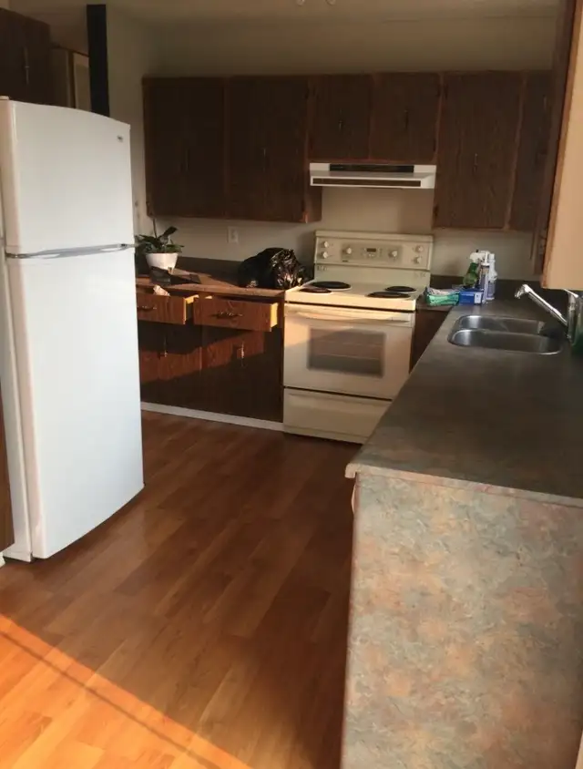 House for Rent (Pet Friendly) 3 BR, 2 Bath WAVERLY HEIGHTS - Photo 11