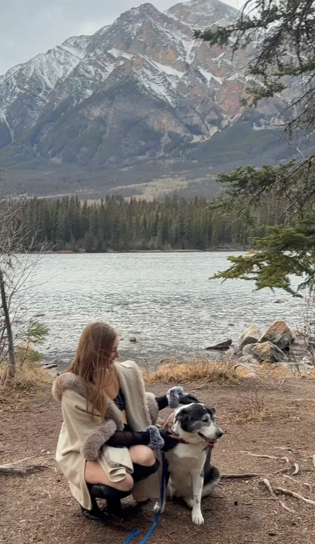 dog walking - pet sitting services