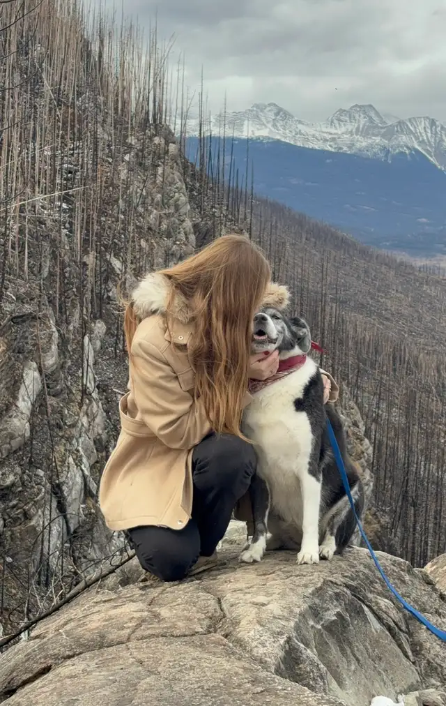 dog walking - pet sitting services - Photo 3