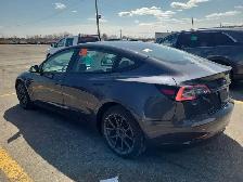 2022 Tesla Model 3 Standard Range l RWD l LFP Battery l FSD Comp - Photo 3