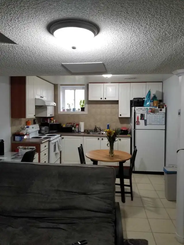 ONE BEDROOM BASEMENT APT. FOR RENT - Photo 3