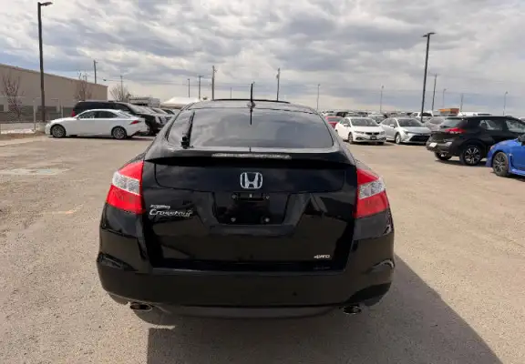2010 Honda Accord Crosstour EX-L 4WD : LOW MILEAGE - Photo 5