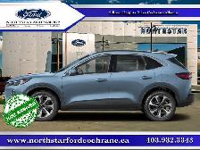 2023 Ford Escape Platinum - Navigation - 360 Camera