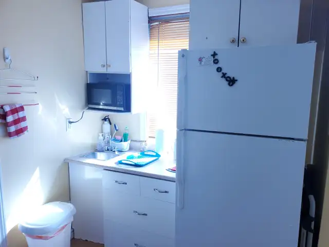 STUDENT Rooming House - All included - $750 - Lower Charlotte st - Photo 23