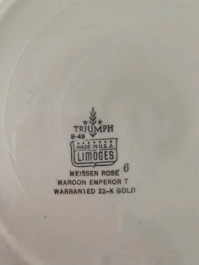 Service de vaisselle classique American Limoges – Triumph – Or 2 - Photo 2
