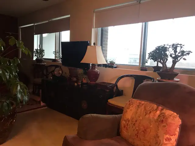 Condo St-Lambert - Photo 6