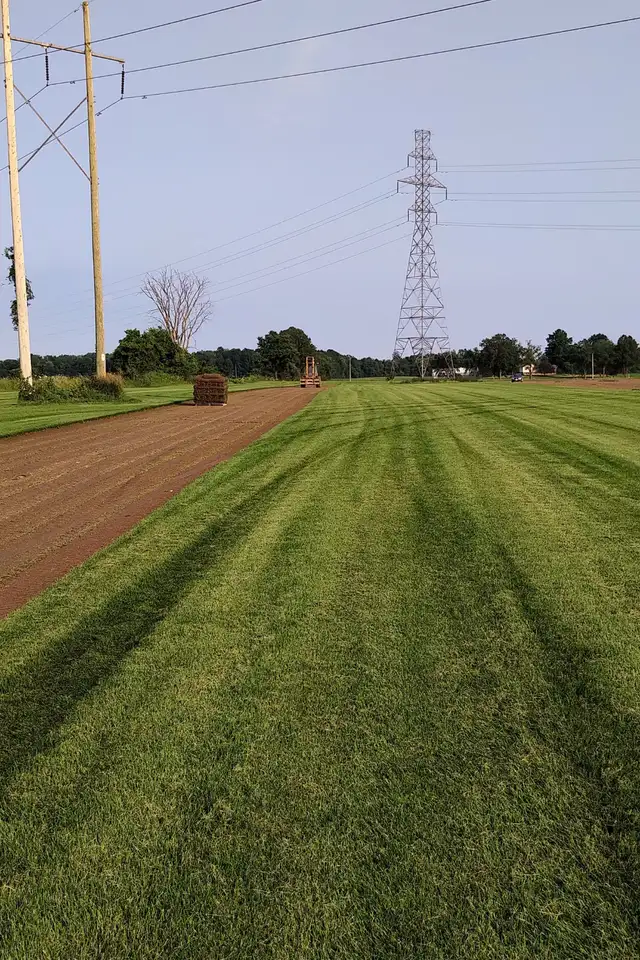 SOD FRESH FROM THE FARM - Photo 3