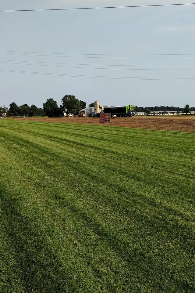 SOD STRAIGHT FROM THE FARM - Photo 2