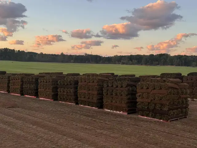 SOD STRAIGHT FROM THE FARM - Photo 4