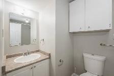 1 Bed Basement Apartment- Owner Occupied Above $1675 inclusive - Photo 9