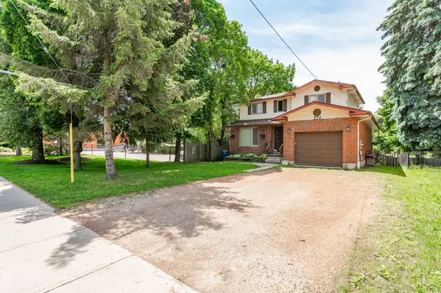 1 Bed Basement Apartment- Owner Occupied Above $1675 inclusive - Photo 19