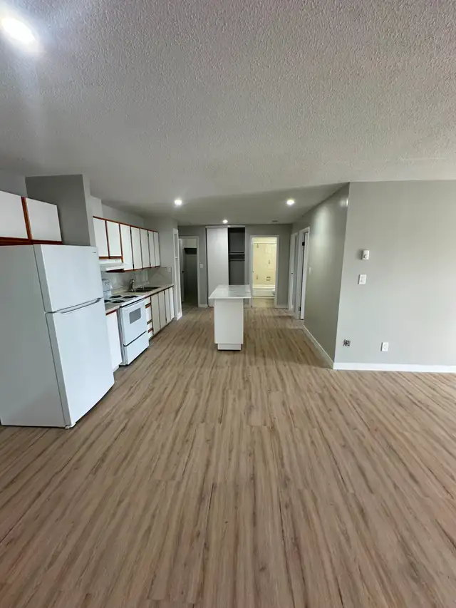 Two Bedroom Available for May 15th in Minnow Lake - Photo 2