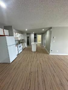 Two Bedroom Available for May 15th in Minnow Lake - Photo 2