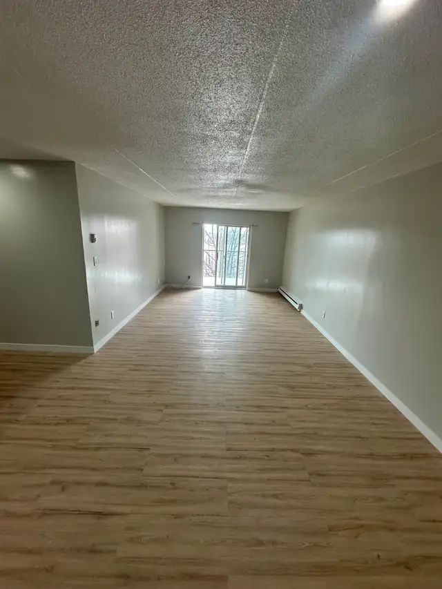 Two Bedroom Available for May 15th in Minnow Lake - Photo 3