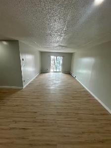 Two Bedroom Available for May 15th in Minnow Lake - Photo 3