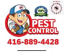 FOR ALL PESTS K2 PEST CONTROL SERVICES "1 YEAR WARRANTY" - Photo 4