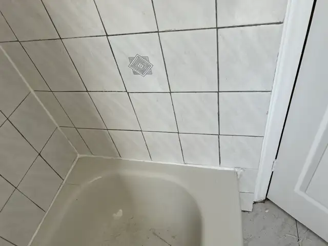 Re-Caulking Shower Bathtub Sink $100 - Photo 5