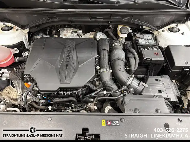 2023 Kia Sorento SX low kilometers, fully loaded, premium comfor - Photo 8