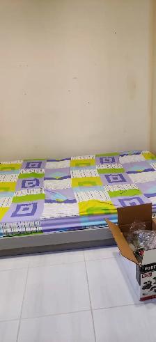 Furnished Room for Rent – Near York University (Keele Campus) - Photo 16