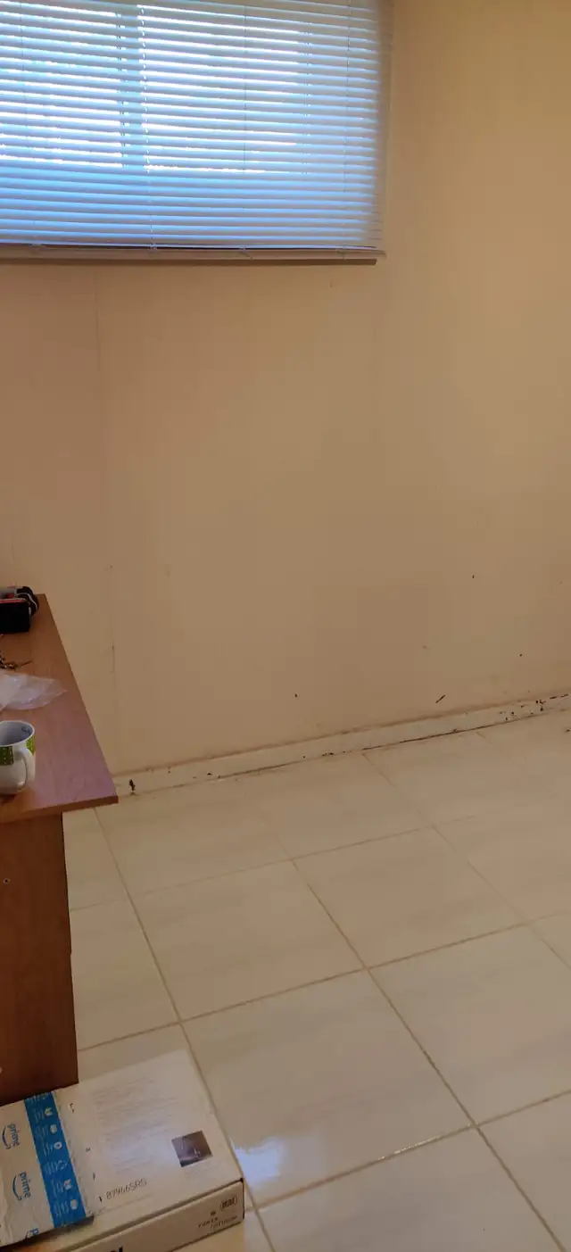 Furnished Room for Rent – Near York University (Keele Campus) - Photo 17