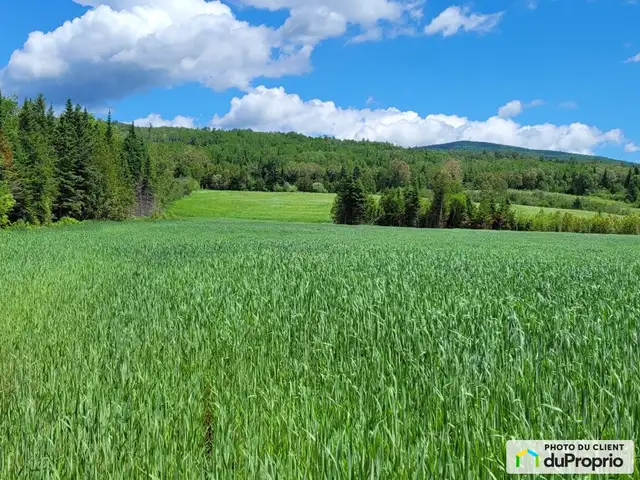 $295,000 - Arable Land for sale in Clermont - Photo 3